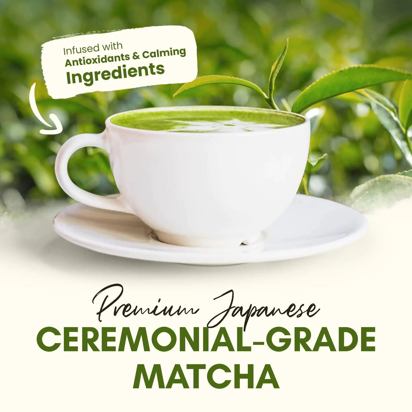 Ceremonial Grade Matcha Latte Blended in Vanilla Ashwagandha